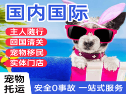 通化机场快递国际宠物托运 【国